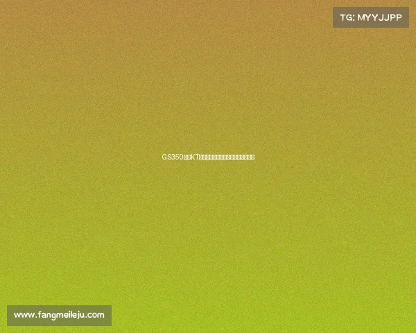 GS350改装KT绞牙避震,姿态改装性能气场更突出 GS350改装KT绞牙避震,姿态改装性能气场更突出