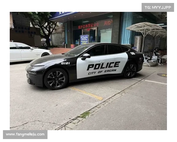 “因为好看” 成都一男子将私家车喷涂police字样被罚