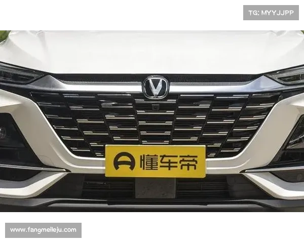 “新长安”登场! “新长安”登场!