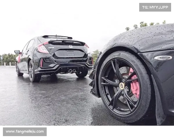 「交通」查到限量款“法拉利”?仔细一看是思域,车主竟很自豪:仅花3万 「交通」查到限量款“法拉利”?仔细一看是思域,车主竟很自豪:仅花3万