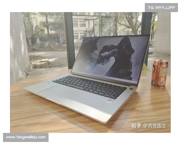 不到3k雷神IGER E1领衔，双十一雷神超值笔记本盘点？