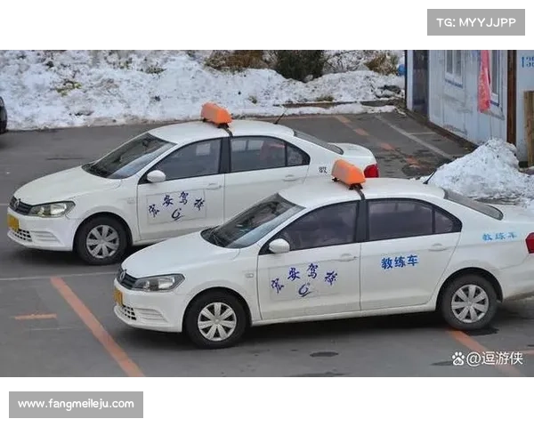 为什么教练车选大众捷达,不选卡罗拉?驾校教练说出“现实苦衷” 为什么教练车选大众捷达,不选卡罗拉?驾校教练说出“现实苦衷”