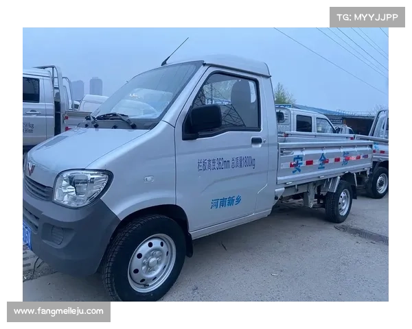 五菱之光小卡:经济实用的微卡之选 五菱之光小卡:经济实用的微卡之选